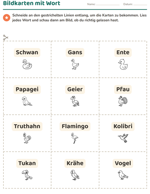 Vorschau: Bildkarten-Arbeitsblatt mit Vögel SW 2 für Kindergarten