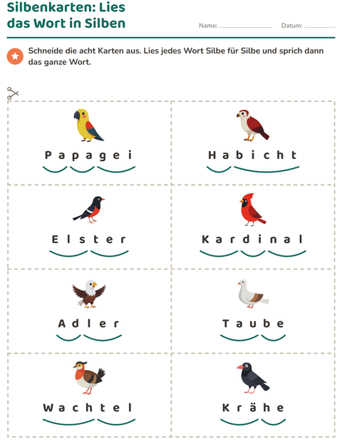 Vorschau: Bildkarten-Arbeitsblatt mit Vögel 2 für 1. Klasse