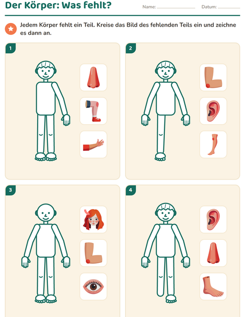 Der Körper: Was fehlt dieser Figur?