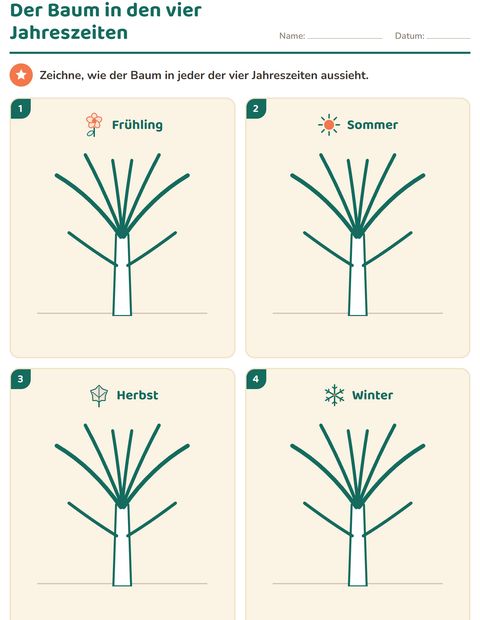 Vorschau: Der Baum in den vier Jahreszeiten