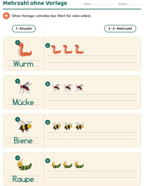 Vorschau: Einzahl und Mehrzahl-Arbeitsblatt mit Insekten und Käfer für Kindergarten