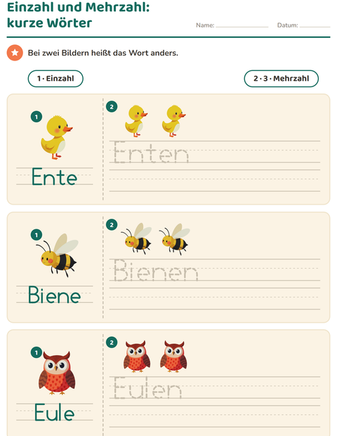 Vorschau: Einzahl und Mehrzahl-Arbeitsblatt mit Dinge die fliegen für Kindergarten