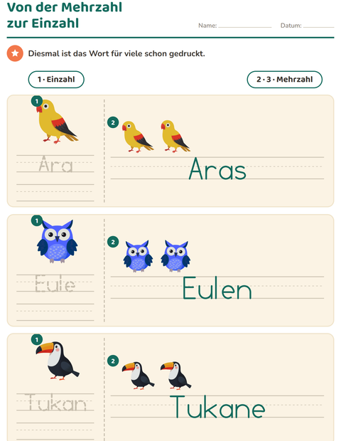 Vorschau: Einzahl und Mehrzahl-Arbeitsblatt mit Vögel für Kindergarten