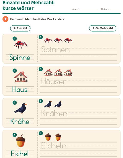 Vorschau: Einzahl und Mehrzahl-Arbeitsblatt mit Verschiedenes für Kindergarten
