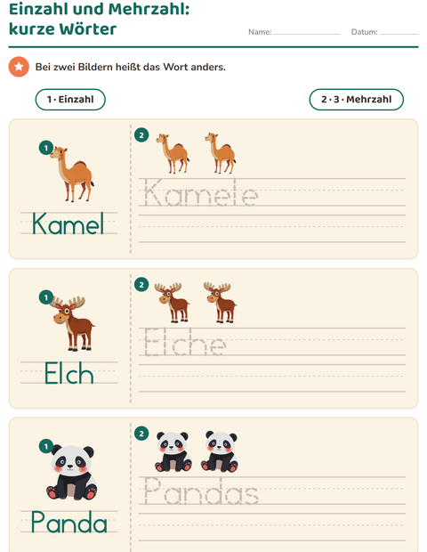 Einzahl und Mehrzahl mit kurzen Tierwörtern – die Mehrzahl nachspuren