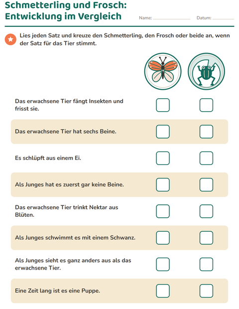 Schmetterling und Frosch: die Entwicklung im Vergleich