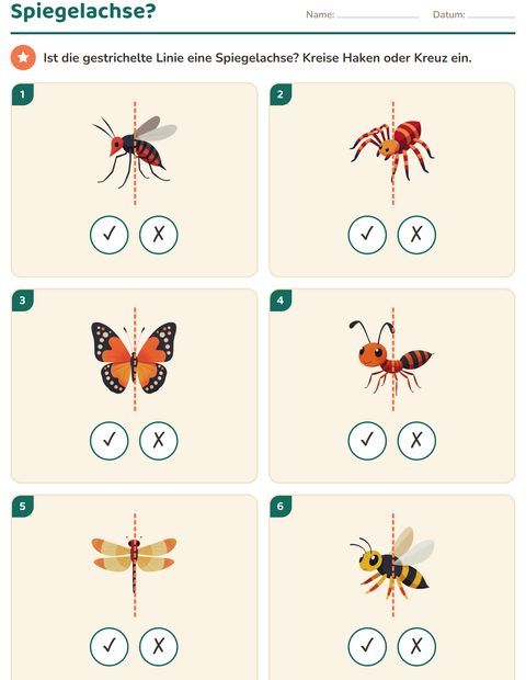 Vorschau: Geometrie-Arbeitsblatt mit Insekten und Käfer für 2. Klasse