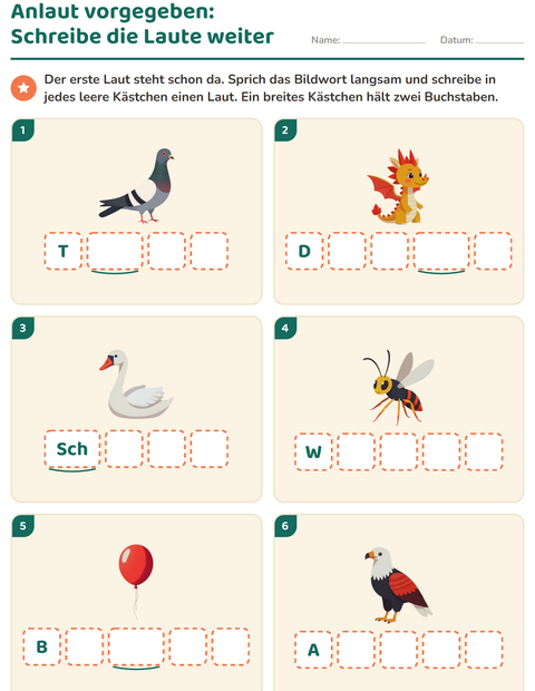 Vorschau: Laute hören und schreiben-Arbeitsblatt mit Dinge die fliegen für Kindergarten