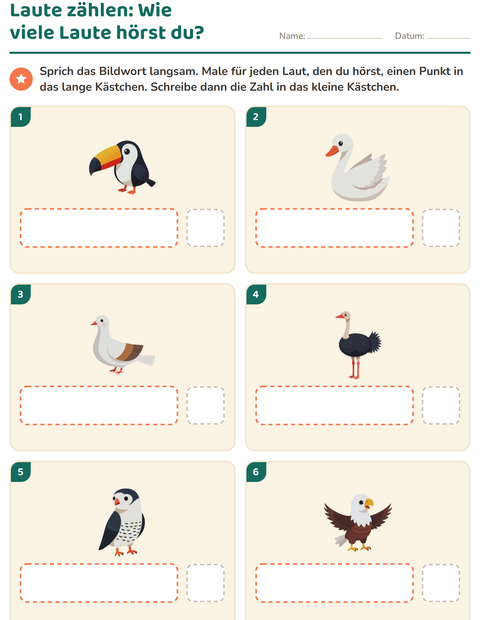 Vorschau: Laute hören und schreiben-Arbeitsblatt mit Vögel 2 für Kindergarten