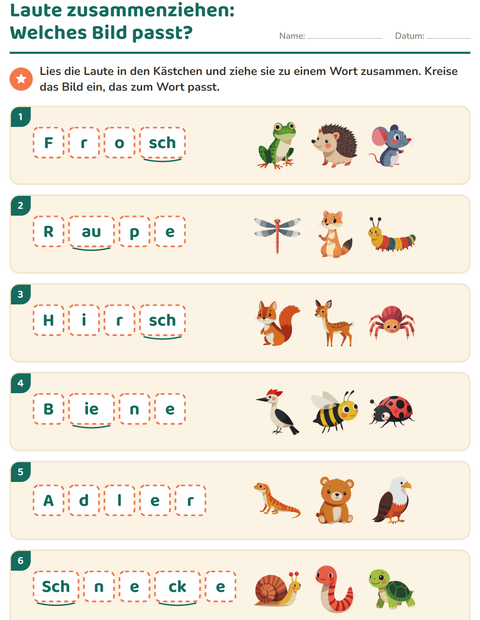 Vorschau: Laute hören und schreiben-Arbeitsblatt mit Waldtiere für 1. Klasse