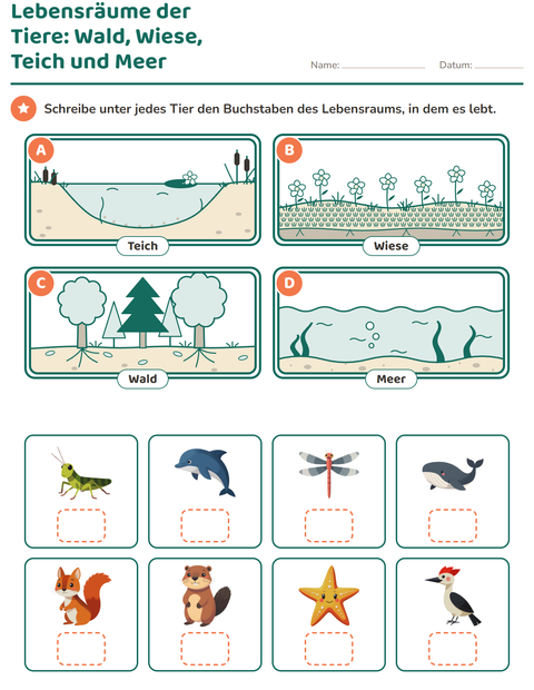 Lebensräume der Tiere: acht Tiere den Lebensräumen Wald, Wiese, Teich und Meer zuordnen