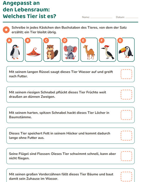 Vorschau: Angepasst an den Lebensraum: Welches Tier ist gemeint? Sechs Sätze, sieben Tiere