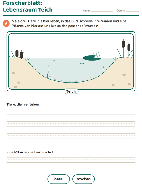 Vorschau: Lebensräume der Tiere-Arbeitsblatt für 2. Klasse