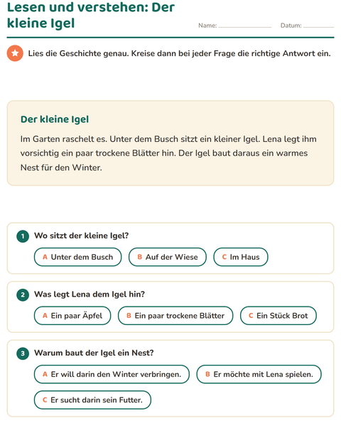 Der kleine Igel – Lesetext mit Fragen für die 2. Klasse