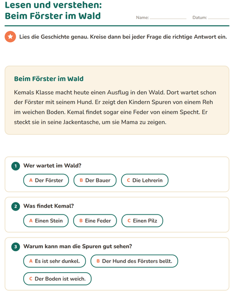Vorschau: Leseverständnis-Arbeitsblatt für 2. Klasse
