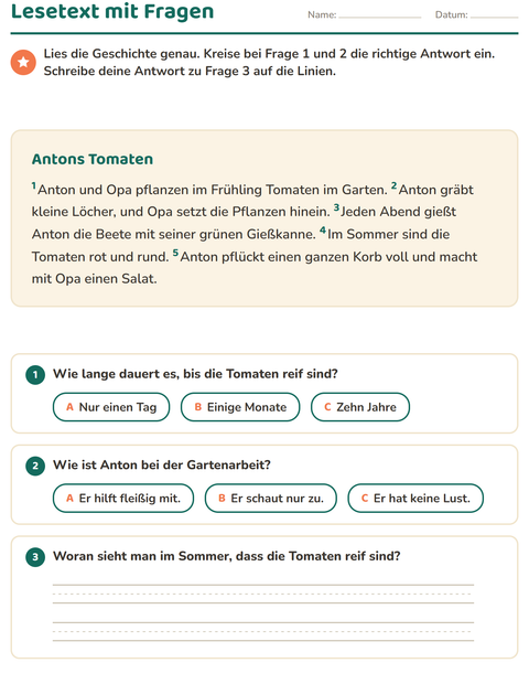 Vorschau: Leseverständnis-Arbeitsblatt für 2. Klasse