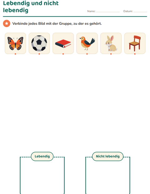 Vorschau: Sachunterricht-Sortieren-Arbeitsblatt für Kindergarten