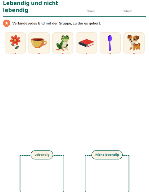 Vorschau: Sachunterricht-Sortieren-Arbeitsblatt für Kindergarten