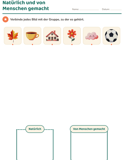 Vorschau: Sachunterricht-Sortieren-Arbeitsblatt für Kindergarten