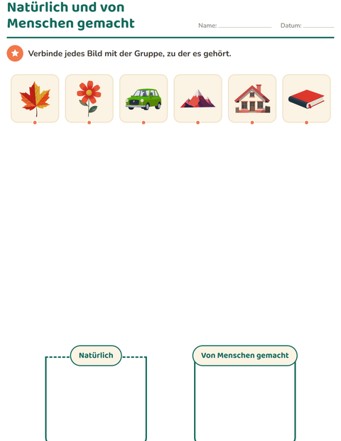 Vorschau: Sachunterricht-Sortieren-Arbeitsblatt für Kindergarten