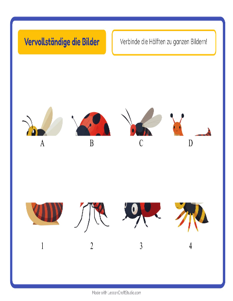 Vorschau: Schatten zuordnen-Arbeitsblatt mit Insekten und Käfer für Kindergarten