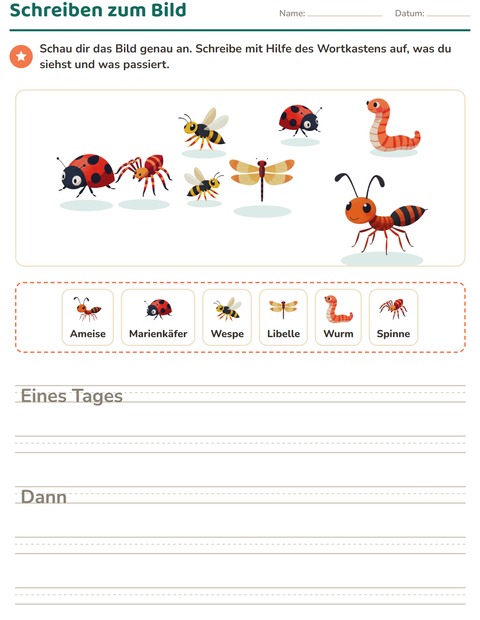Vorschau: Schreiben zum Bild-Arbeitsblatt mit Insekten und Käfer für 2. Klasse