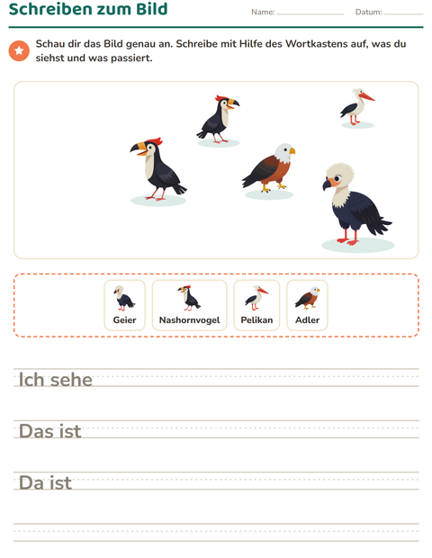 Vorschau: Schreiben zum Bild-Arbeitsblatt mit Vögel für 2. Klasse