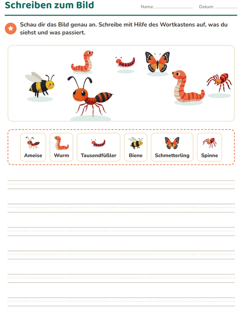 Vorschau: Schreiben zum Bild-Arbeitsblatt mit Insekten und Käfer für 2. Klasse