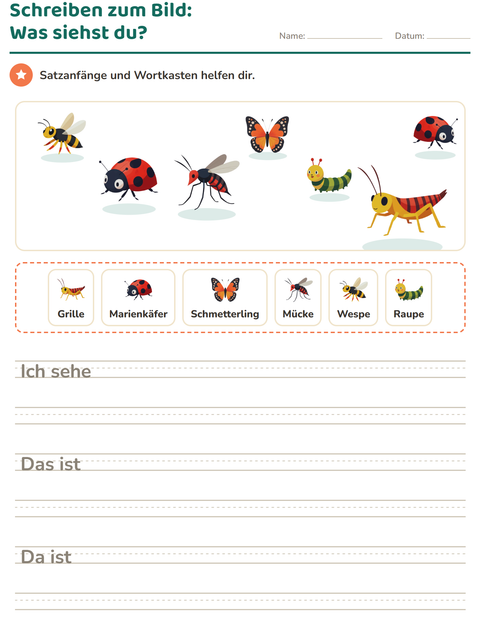 Vorschau: Schreiben zum Bild-Arbeitsblatt mit Insekten und Käfer für 2. Klasse