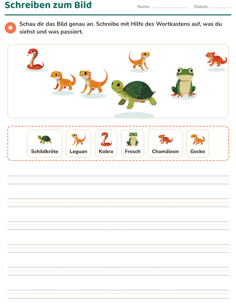 Vorschau: Schreiben zum Bild-Arbeitsblatt mit Reptilien und Amphibien für 2. Klasse