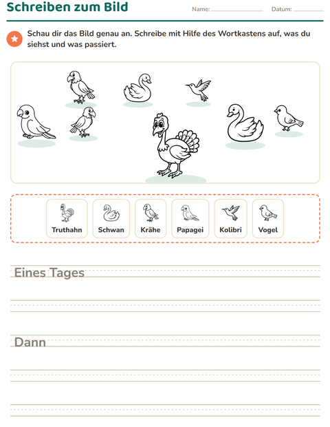 Vorschau: Schreiben zum Bild-Arbeitsblatt mit Vögel SW 2 für 2. Klasse