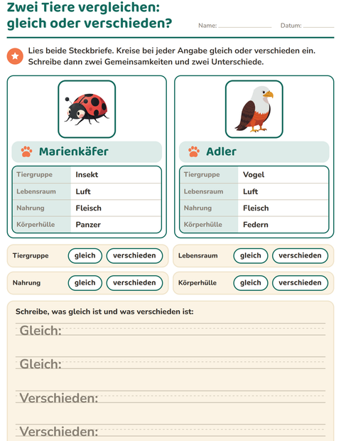 Zwei Waldtiere vergleichen – gleich oder verschieden?