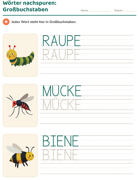Vorschau: Wörter nachspuren-Arbeitsblatt mit Insekten und Käfer für Kindergarten