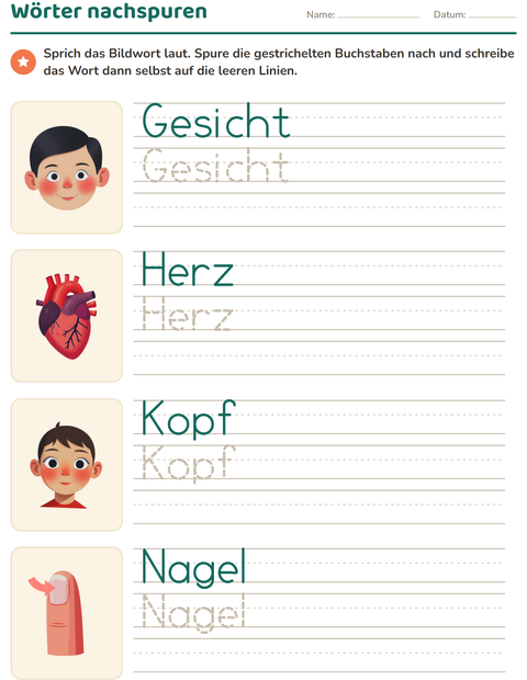 Vorschau: Wörter nachspuren-Arbeitsblatt mit Körperteile für Kindergarten