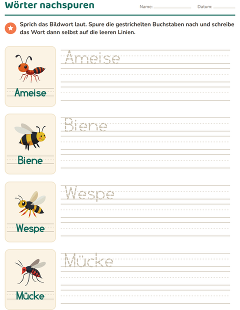Vorschau: Wörter nachspuren-Arbeitsblatt mit Insekten und Käfer für Kindergarten