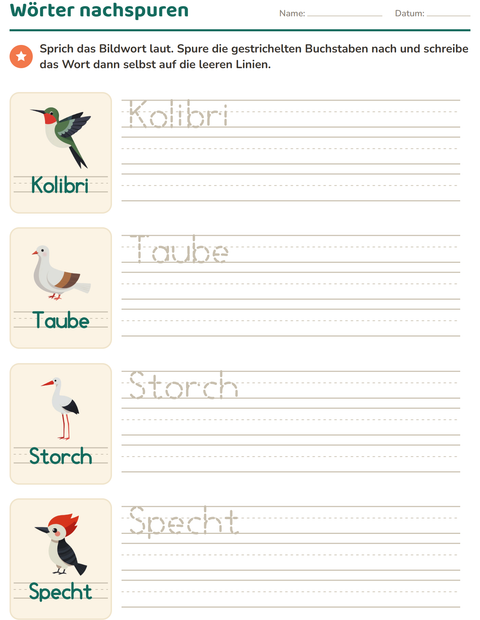 Vorschau: Wörter nachspuren-Arbeitsblatt mit Vögel 2 für Kindergarten