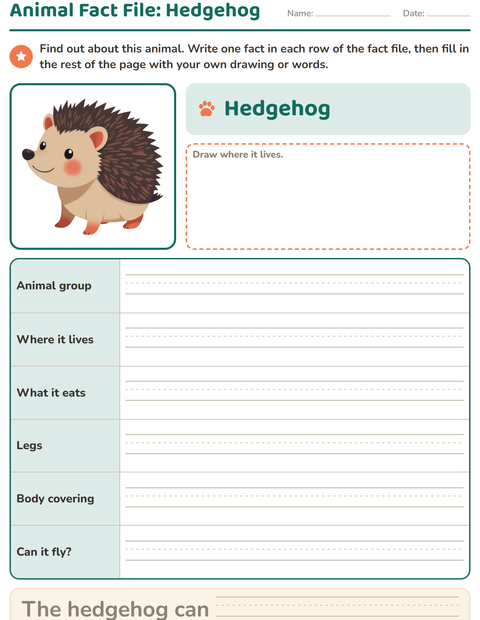 Preview of Animal Fact File: Forest Creatures