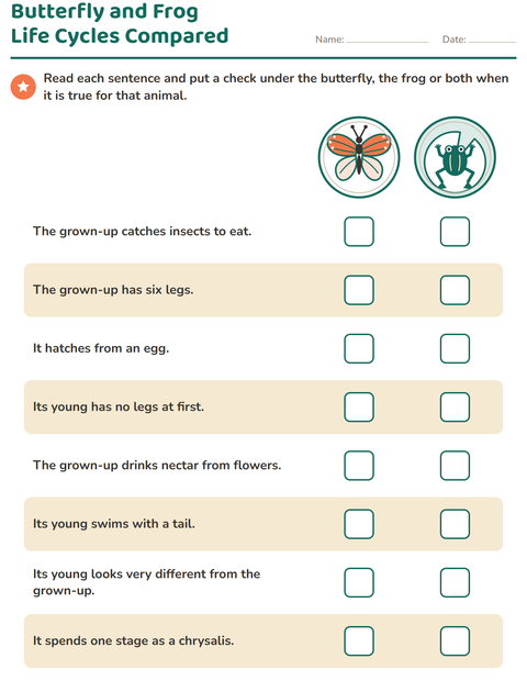 Preview of Butterfly and Frog Life Cycles Compared