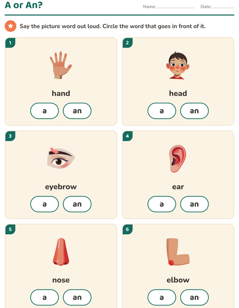 Preview of Articles worksheet featuring Body Parts for kindergarten