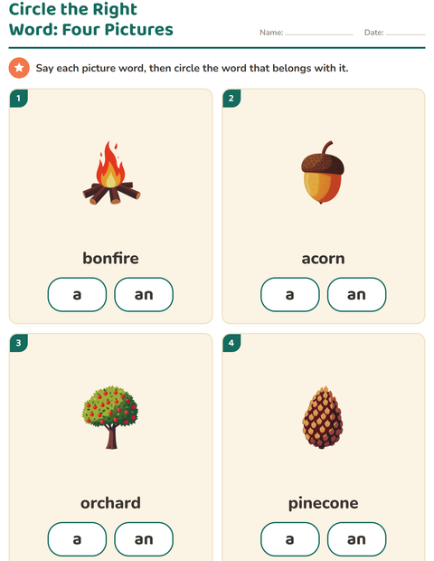 Preview of Articles worksheet featuring Miscellaneous for kindergarten