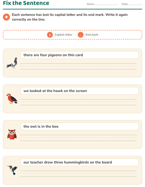 Preview of Capital Letters and Punctuation worksheet featuring Things That Fly for grade 2