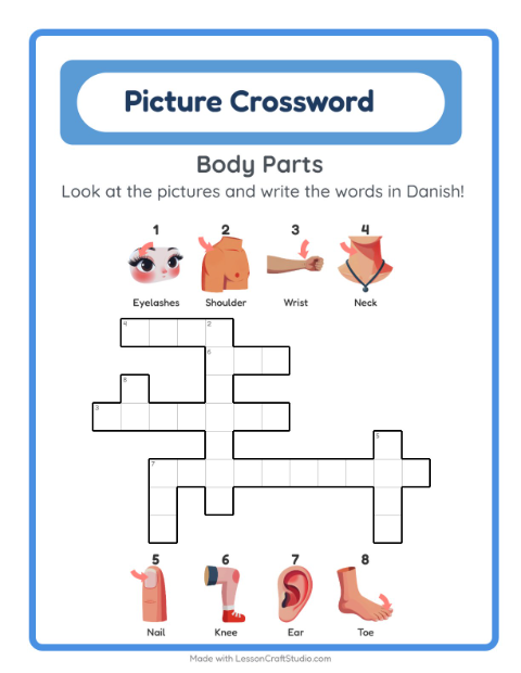 Picture crossword – Body Parts