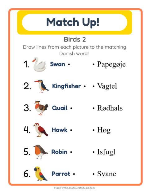 Picture-word match – More Birds
