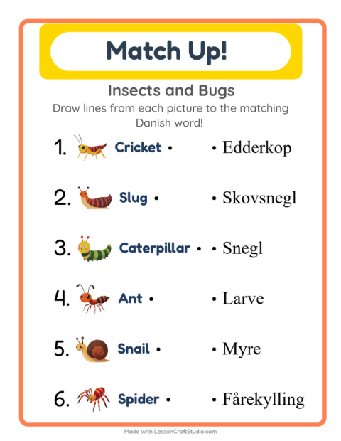 Picture-word match – Insects and Bugs