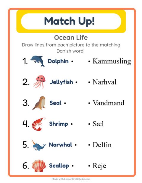 Picture-word match – Ocean Life
