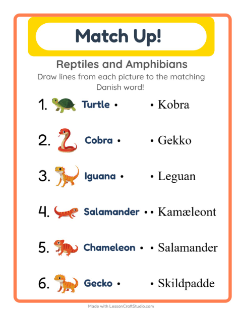 Picture-word match – Reptiles and Amphibians
