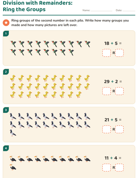 Preview of Division with Remainders worksheet featuring Birds 2 for grade 3