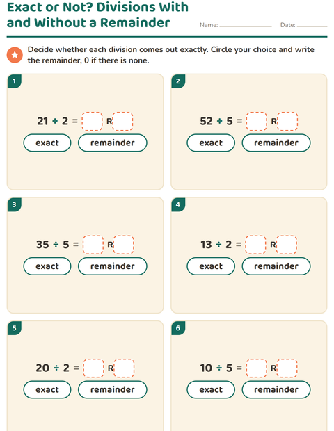 Preview of Division with Remainders worksheet for grade 3