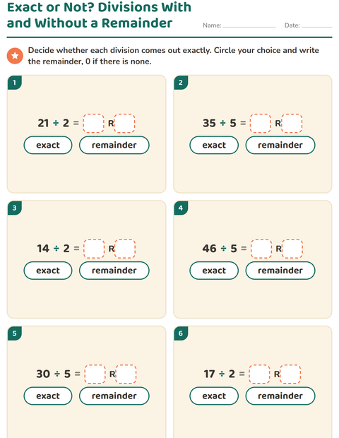 Preview of Division with Remainders worksheet for grade 3