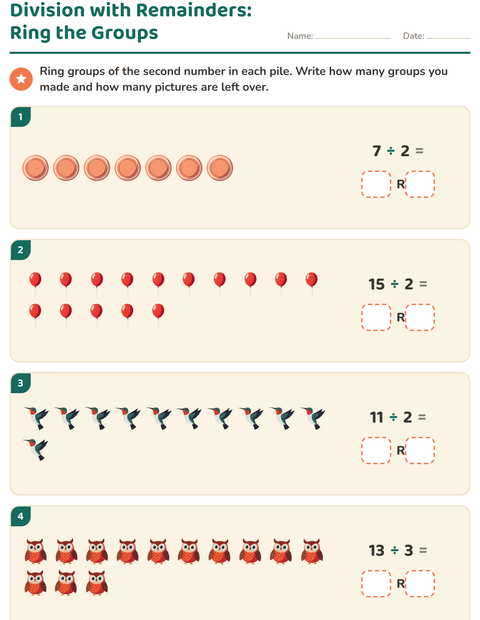 Preview of Division with Remainders worksheet featuring Things That Fly for grade 3